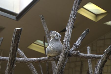 我想う故に割れあり