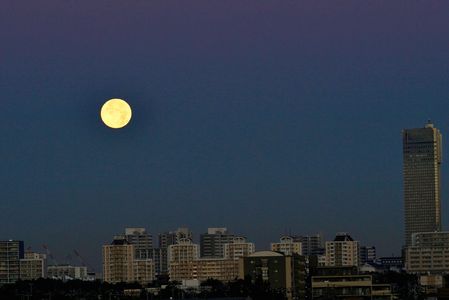 そうだ！コールドムーン🌕