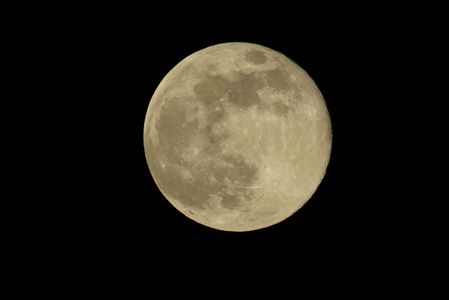 やはり大きい🌕