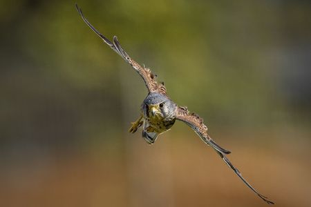 ファインダー越しから