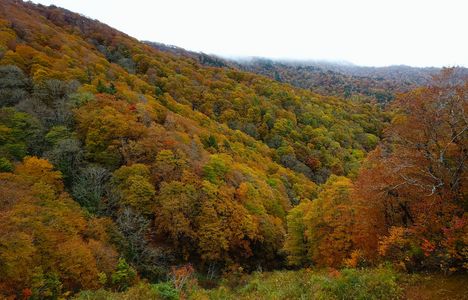 吾妻連峰の紅葉
