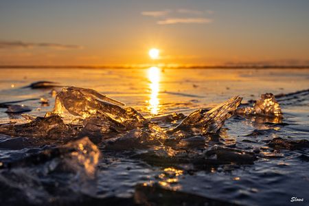 氷上の朝