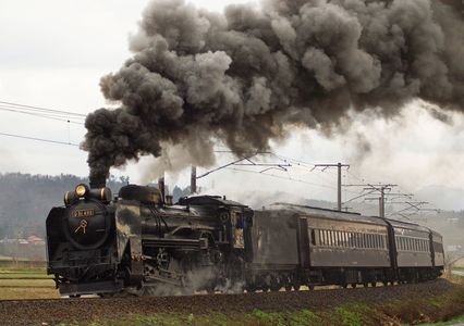 D51498+旧型客車＋煙もくもく＝SL福が満開ふくしま号