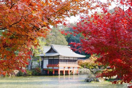 宇佐神宮と紅葉