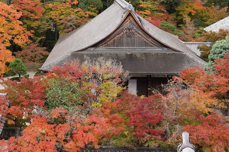 紅葉に囲まれて