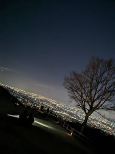 若草山の夜景