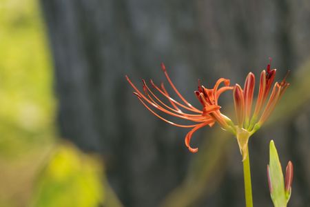 君は美しいよ。