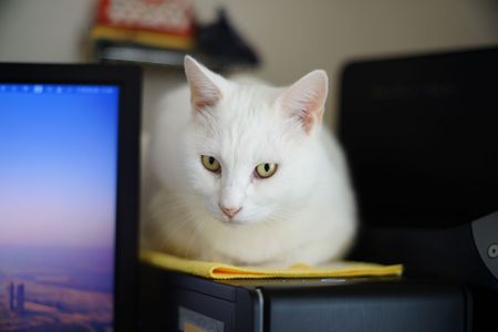 たくまの日常#５０【目ヂカラ】