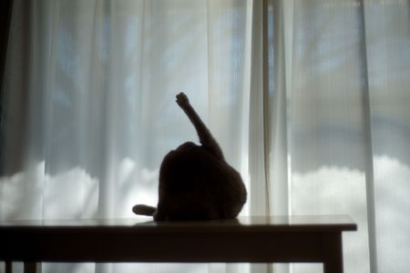 はるかの日常#５０【シルエットクイズ？】