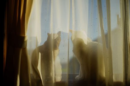 たくまとはるかの日常#１７【いつもの場所で】