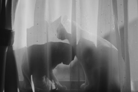 たくまとはるかの日常#１８【やさしい気持ち】