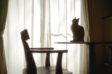 はるかの日常#４９【未知との遭遇？】