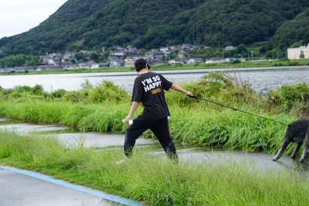 不一致の朝の散歩