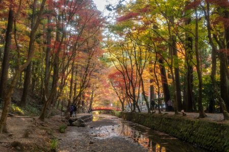 小國神社の紅葉