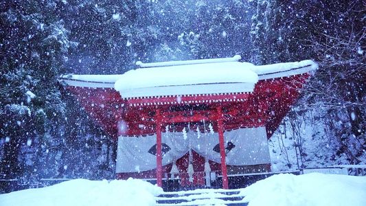 小雪が舞う御座石神社（秋田県仙北市）