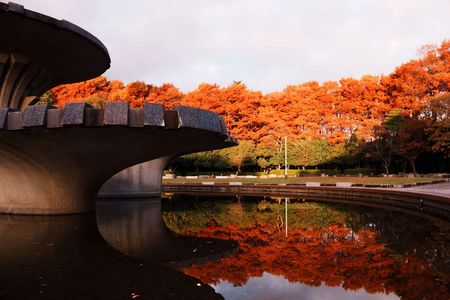 朝陽が木々を染め始める早朝の噴水