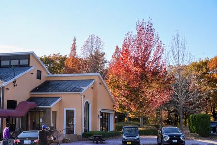 ちょっと海外？