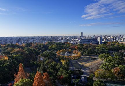 紅葉残る初冬の名古屋