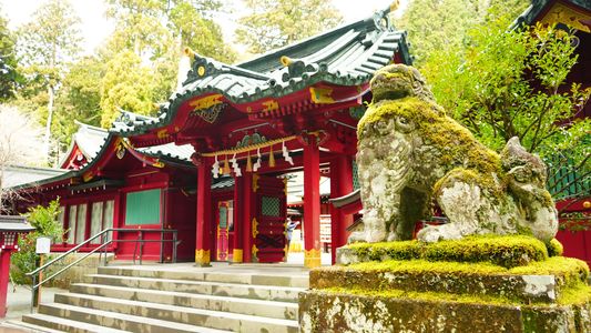箱根の苔神社