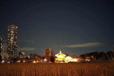 上野公園：夜景