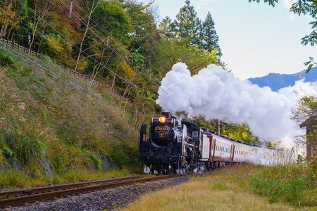 秋色のカーブを抜けて