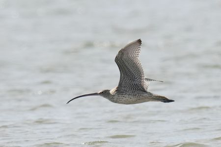 やっぱりおかしい