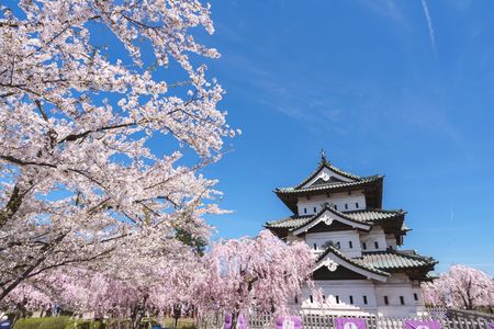 桜ひろがる弘前城