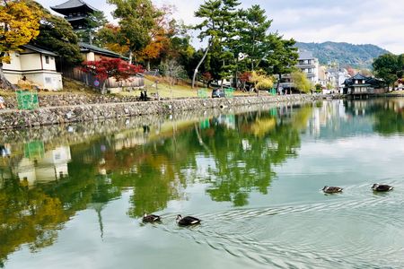 奈良猿沢池の昼と夜