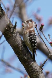 富山県中央植物園にて１
