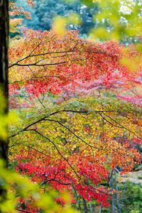 夏の記憶と秋のはじまり