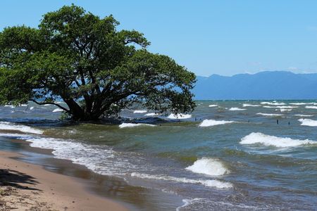 琵琶湖の白波