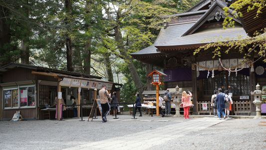 新倉山浅間神社境内で、いろいろなことをしている人たち