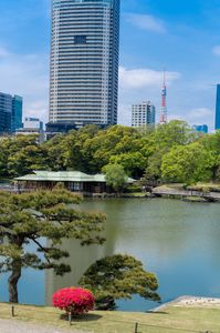 東京のシンボルと庭園