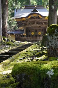 北陸・福井の春