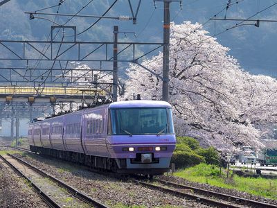 木野山駅の桜とやくも　その2