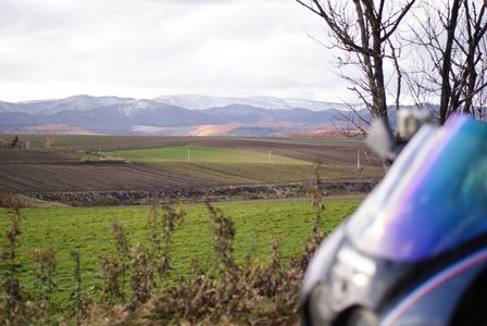 もうすぐ冬ごもり