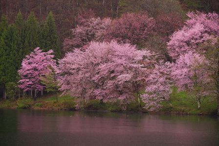 2024 長野県　中綱湖。