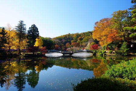 爽やかな秋の朝