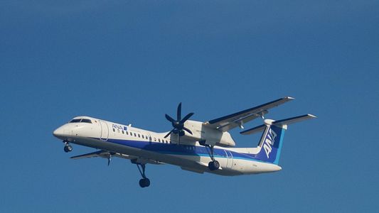 千里川土手(伊丹空港) ANA Q400