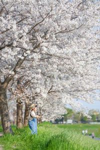 桜のシャワーを浴びて