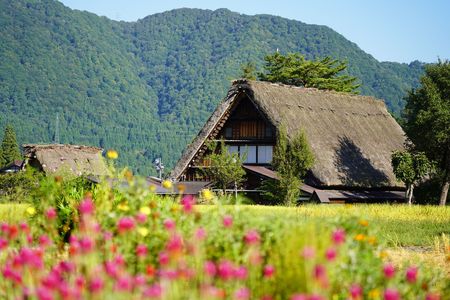 花と合掌造