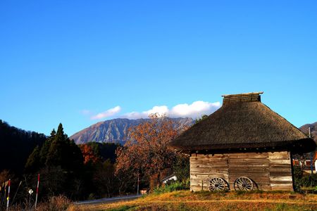 晩秋(また来たよ)