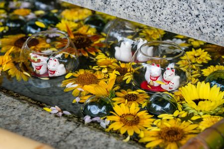 宮城 - 竹駒神社