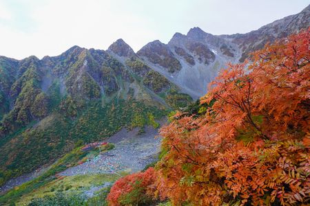 岩稜と紅葉