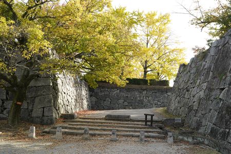 秋色に染まる福岡城