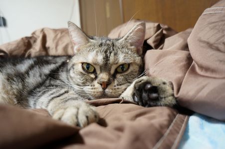 少し寒さを感じて来たかな。