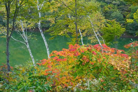季節は穏やかに朱に