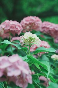 ひと足先に、季節の入口がひらく