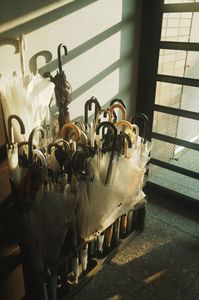 光に乾いていく時間