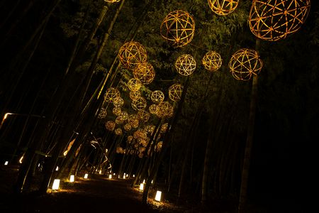 田上バンブーブー